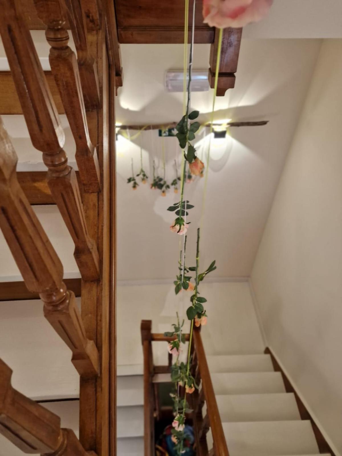 Hof In & Wellness Apartment *