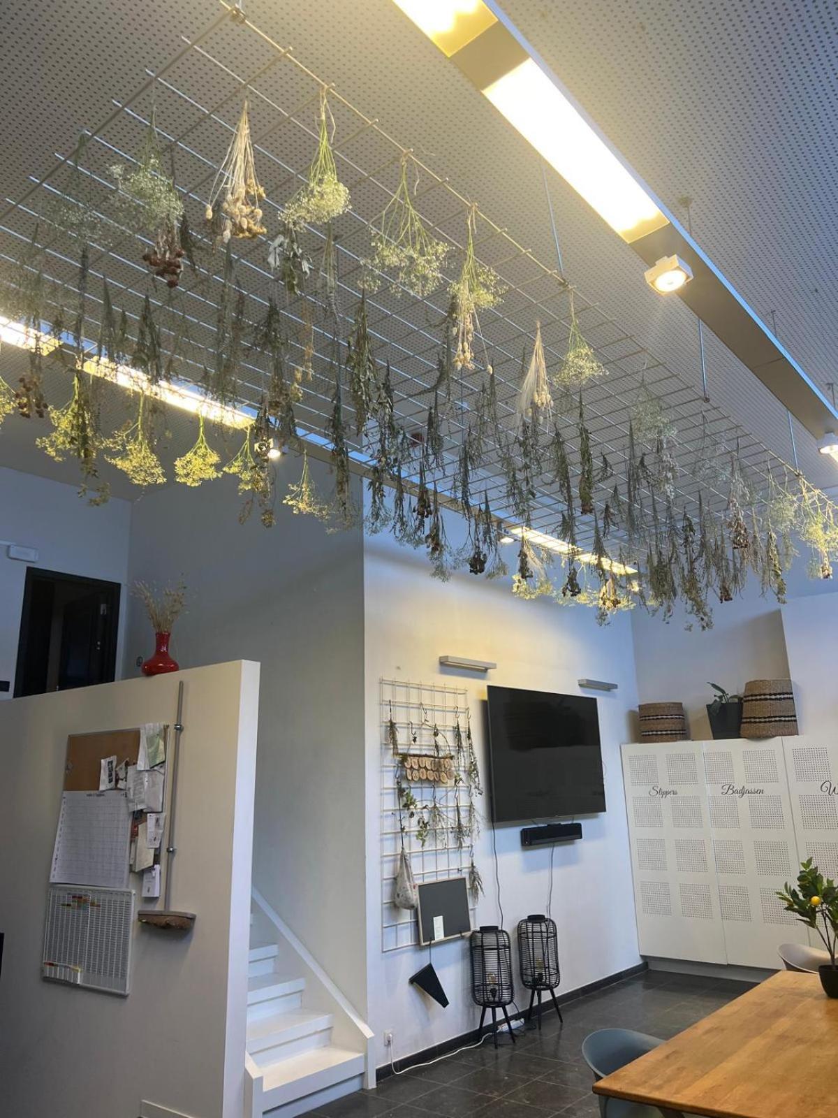 Hof In & Wellness Hasselt